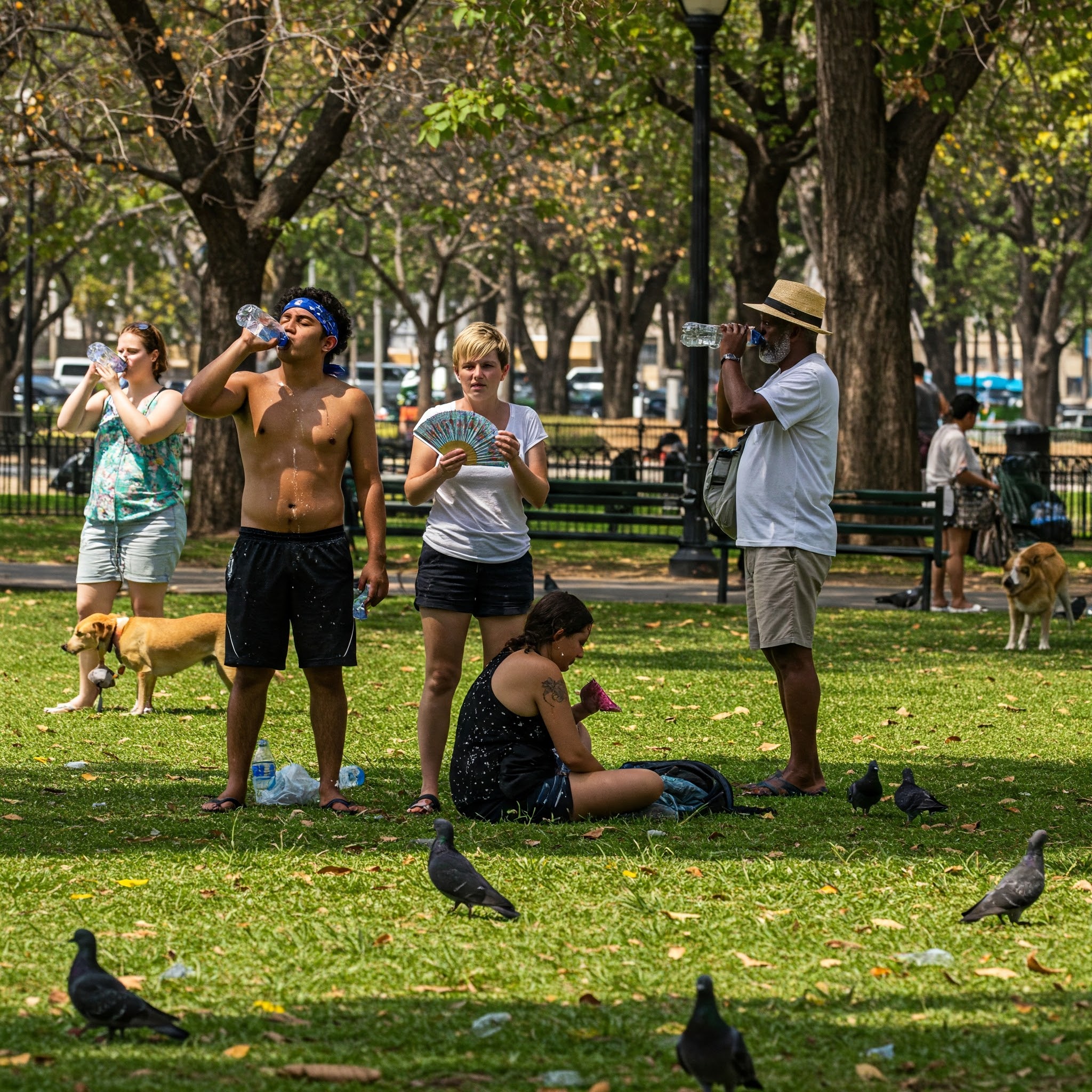 Até quando continua este calor? Onda de calor histórica para março. Quando alivia?